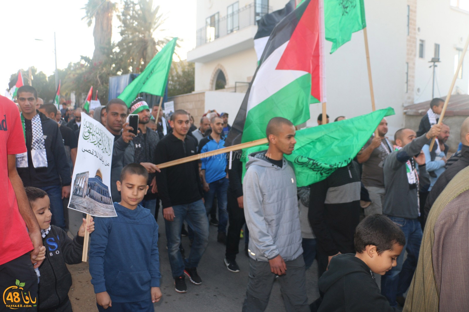 yaffa modahara jeq (74).jpg